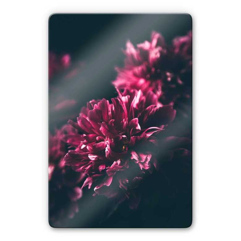 Glasbild Pink Flower Dream 01 