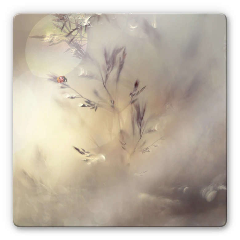 Glasbild Westum - Little Lady 