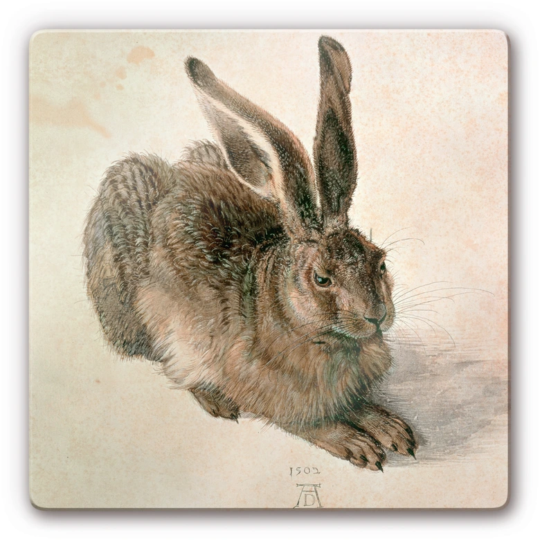 Tableau en verre - Dürer - Jeune lièvre 