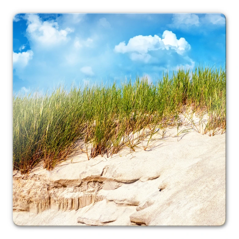 Glasbild Ostsee Dünenlandschaft - quadratisch 