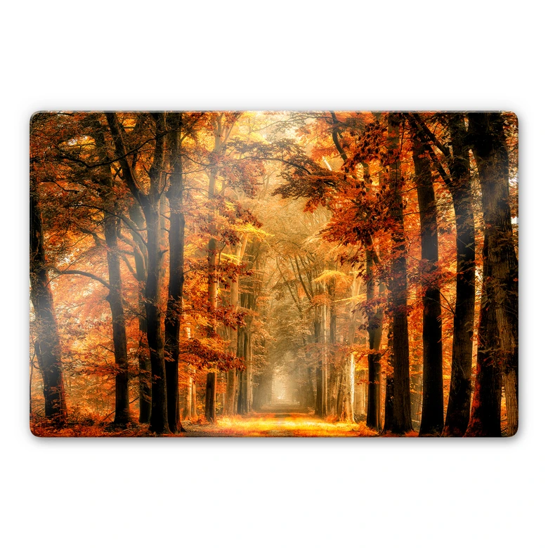 Glasbild van de Goor - Herbstallee 