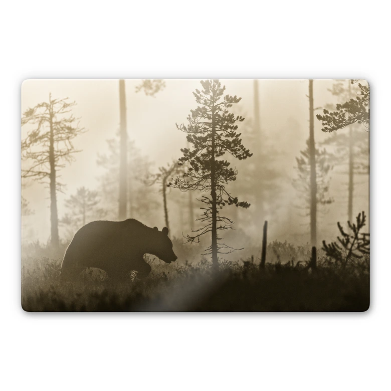 Glasschilderij Ove Linde - Ochtendnevel 