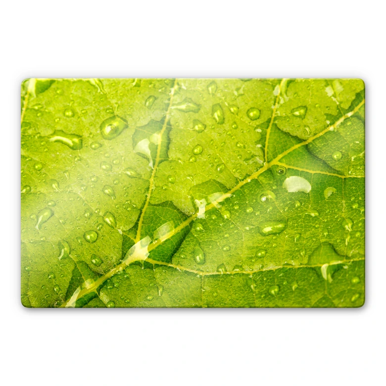 Glasbild Wasserperlen 