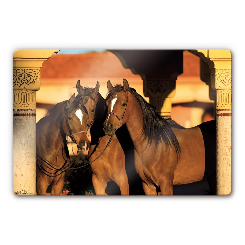 Glasbild Boiselle - Edle arabische Vollblutstuten 