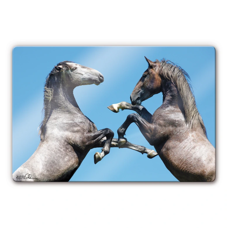 Boiselle - Fighting young Lipizzaner stallions Glass art 