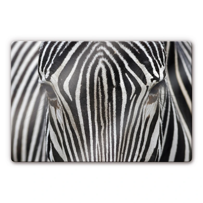 Glasschilderijen Zebra 1 