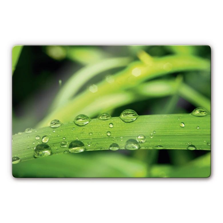 Tableau en verre - Nature 5 