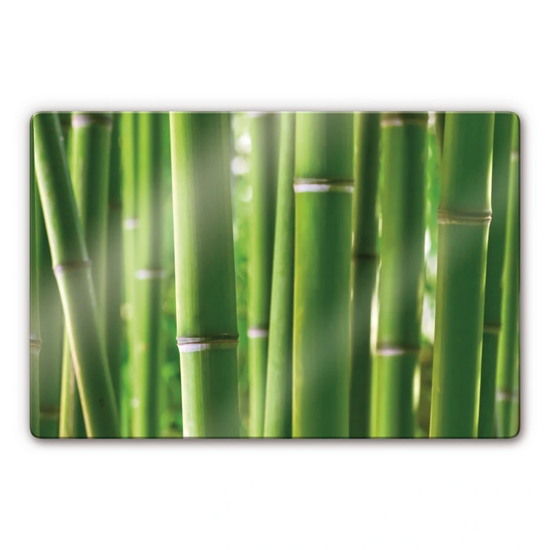 Glasschilderijen Bamboe 1 Glaskunst 