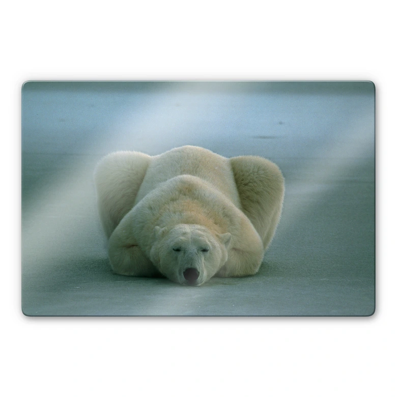 Glasschilderijen National Geographic Slapende IJsbeer 