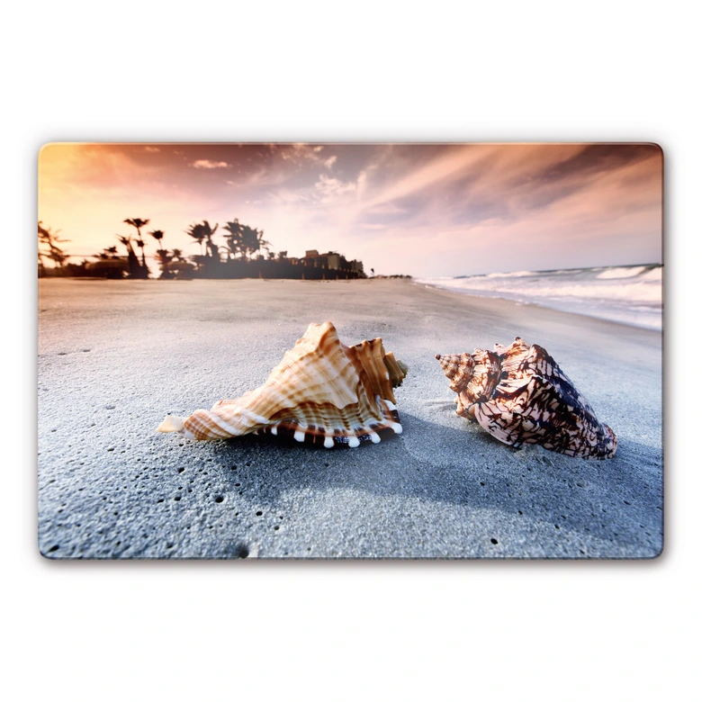 Glasbild Muschelparadies 