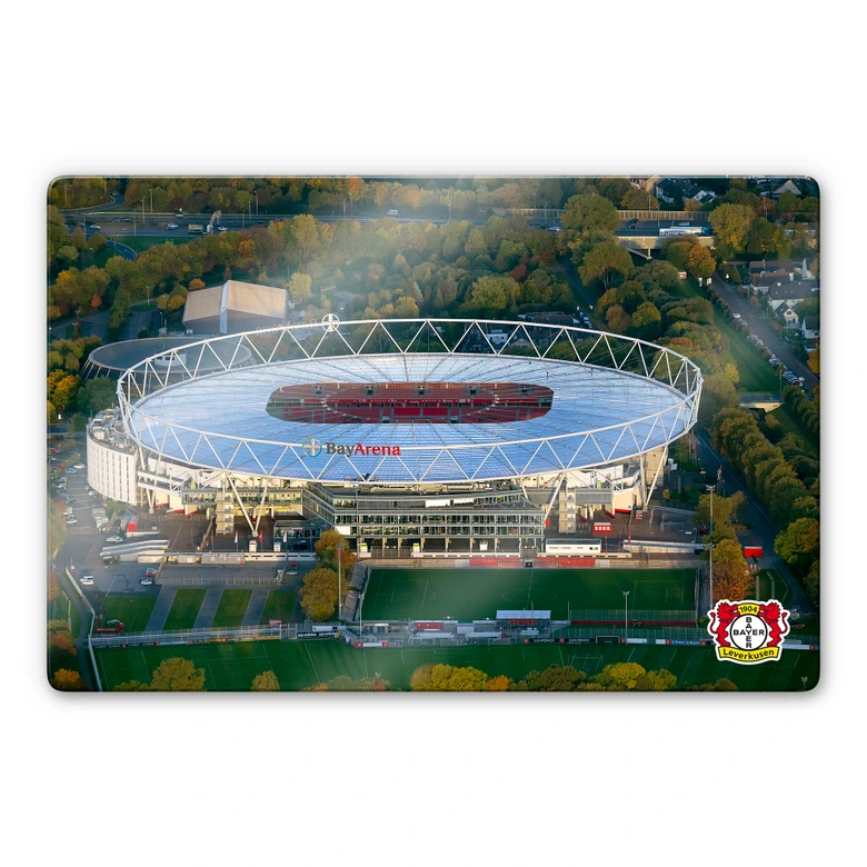 Glasbild BayArena Luftaufnahme bei Tag 