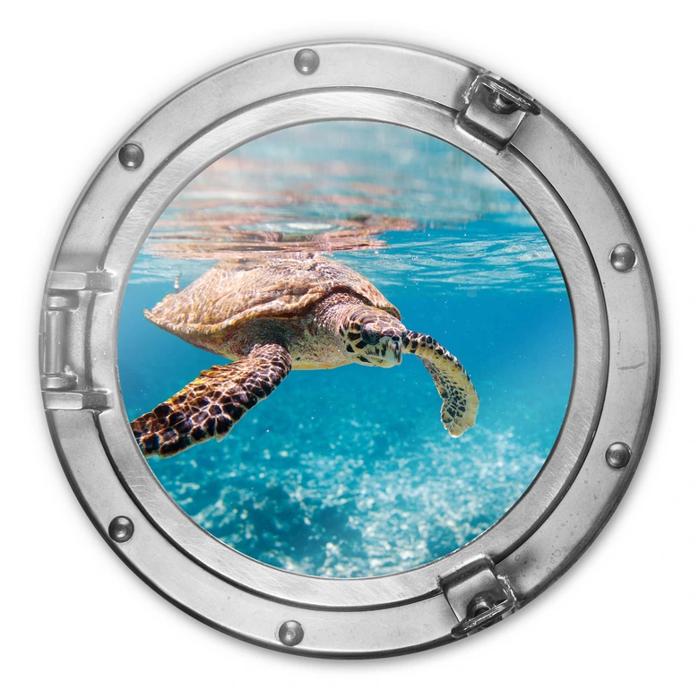 Glasschilderij 3D optiek - Traveling Turtle 