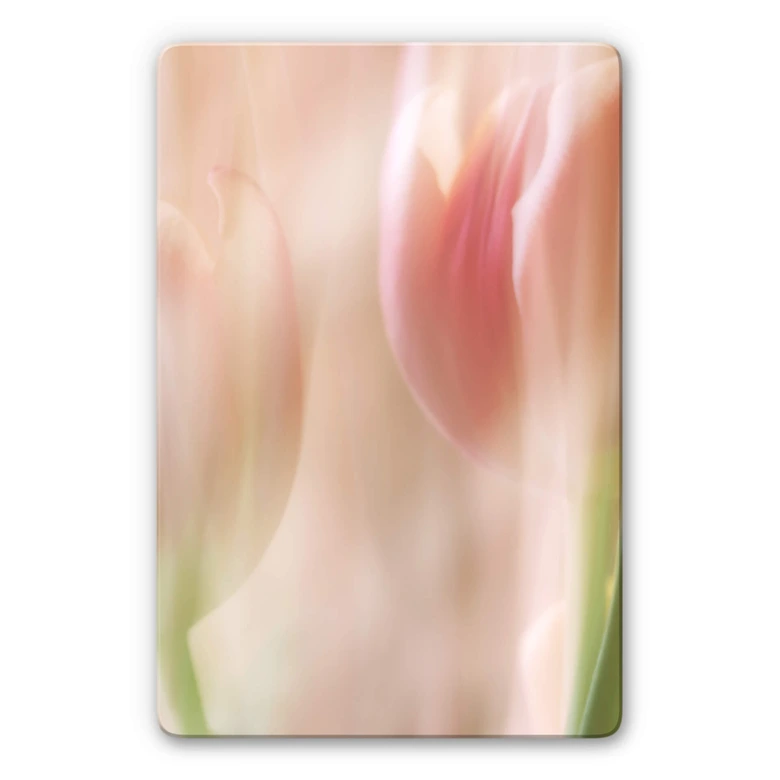 Glasbild Westum - Shy tulips 