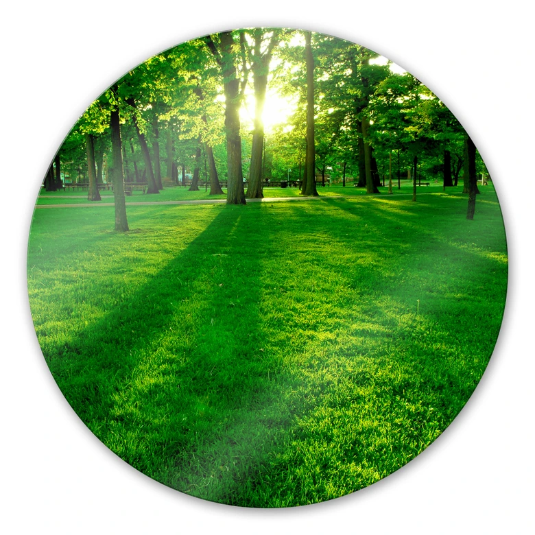 Glasschilderijen Park in het groen - rond 