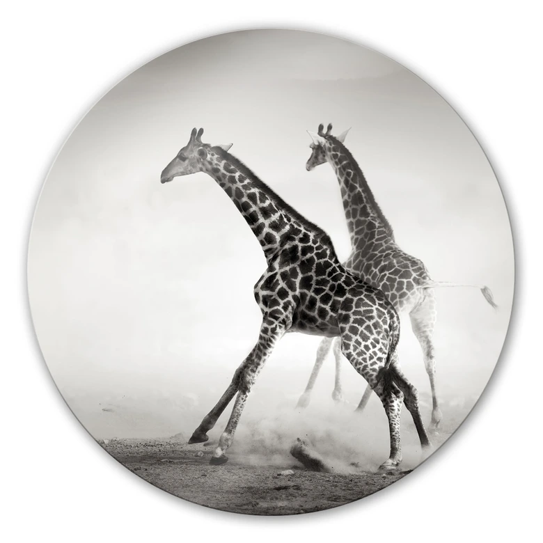 Glasbild Die Flucht - rund 