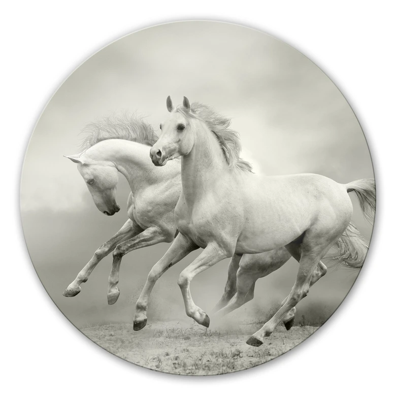 Glasbild Pferde im Galopp - rund 