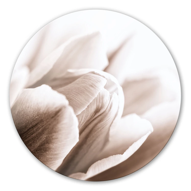 Glasbild Tulpe im Detail - rund 