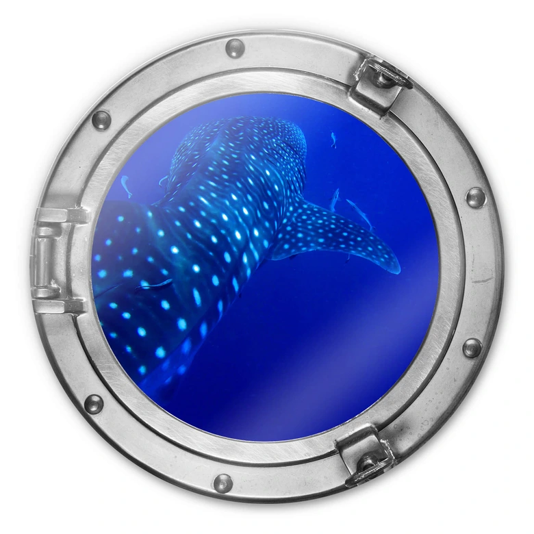 Glasbild rund 3D-Optik Bullauge - Der Walhai 