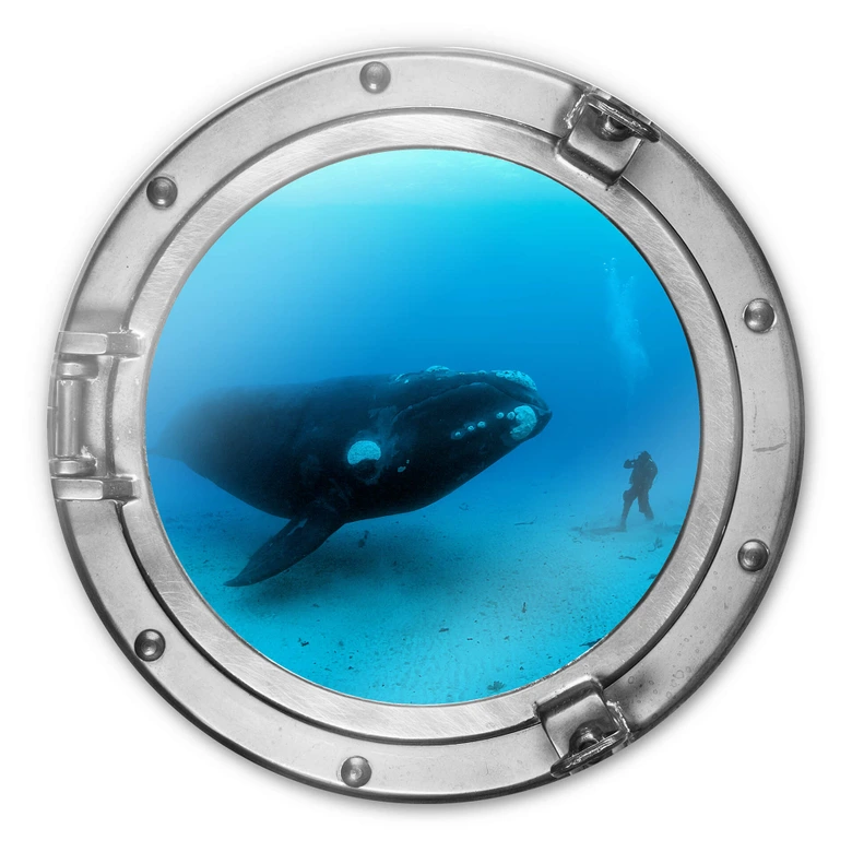 Glasbild rund 3D-Optik Bullauge - National Geographic - Wal mit Taucher 