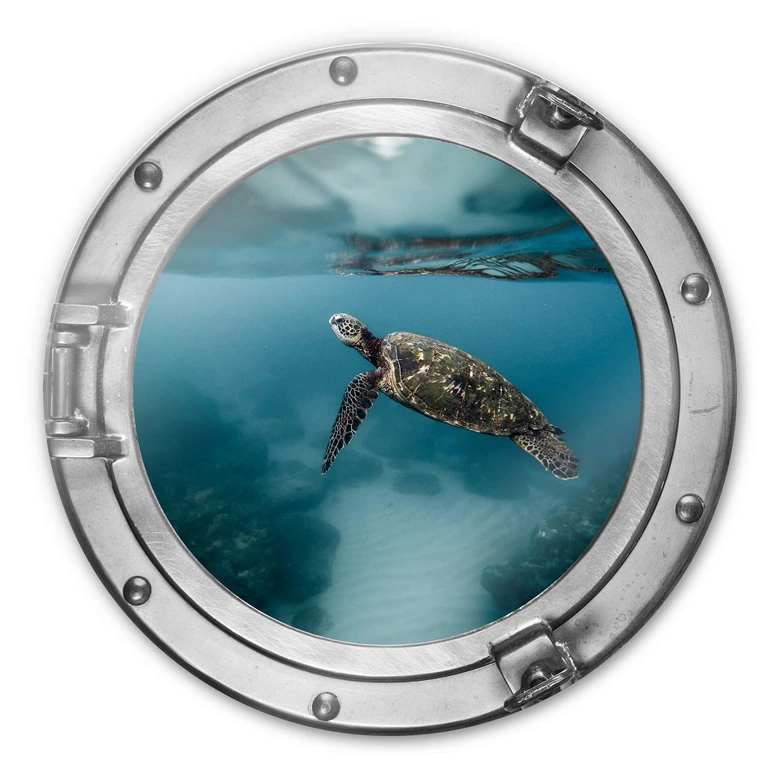 Glasbild rund 3D-Optik Bullauge - Schildkröte seitlich 