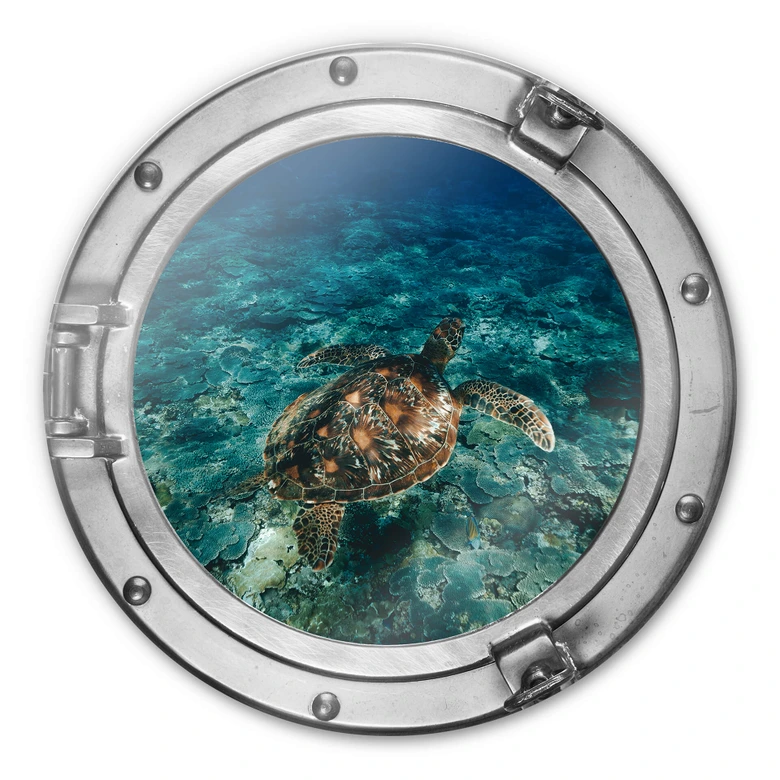 Glasbild rund 3D-Optik Bullauge - Schildkröte von oben 