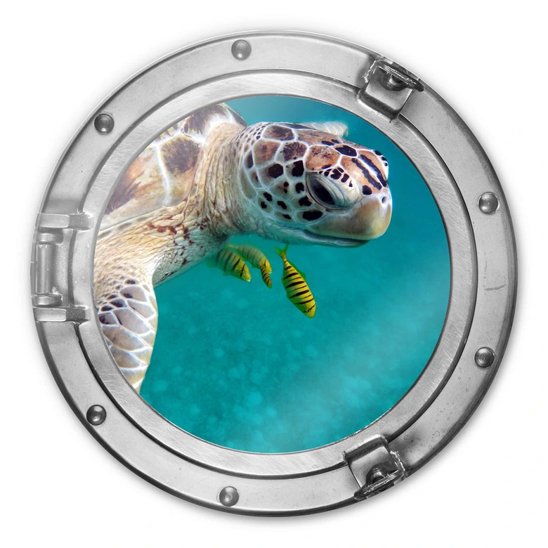Glasbild rund 3D-Optik Bullauge - Unterwasserfreunde 