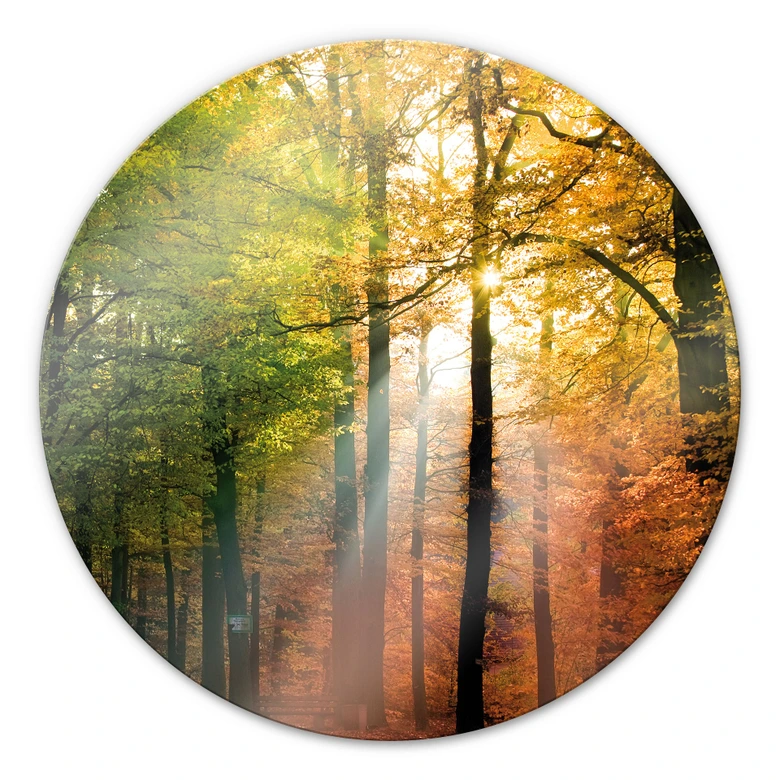 Glasbild Goldener Herbst - rund 