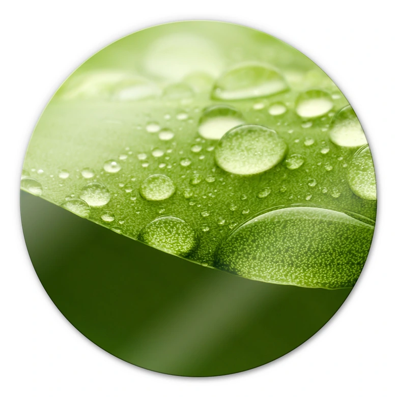 Glasbild Natur 3 - rund 