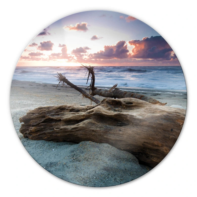 Glasbild Old Tree Trunk - rund 