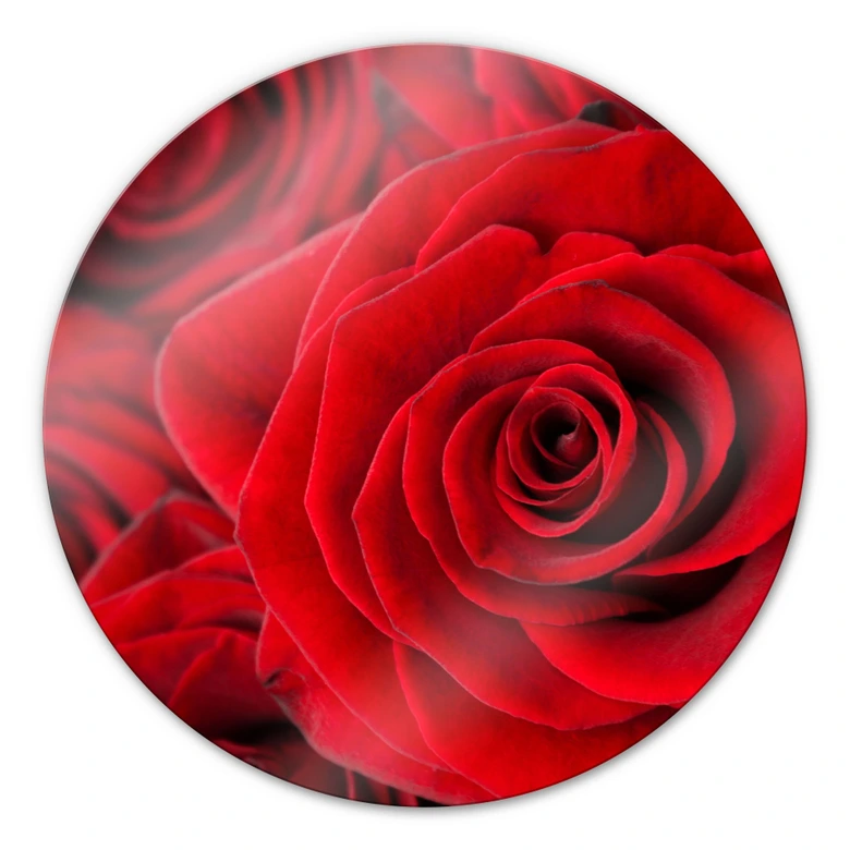 Glasbild Rose - rund 