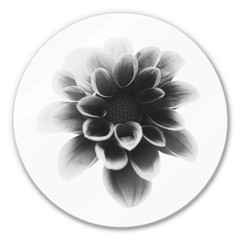 Glasbild Grønkjær - Dahlia - Rund 