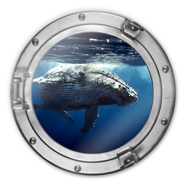 Glasbild rund 3D-Optik Bullauge - Buckelwal auf Tauchgang 
