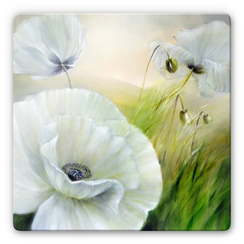 Glasbild Schmucker - Weißer Mohn 