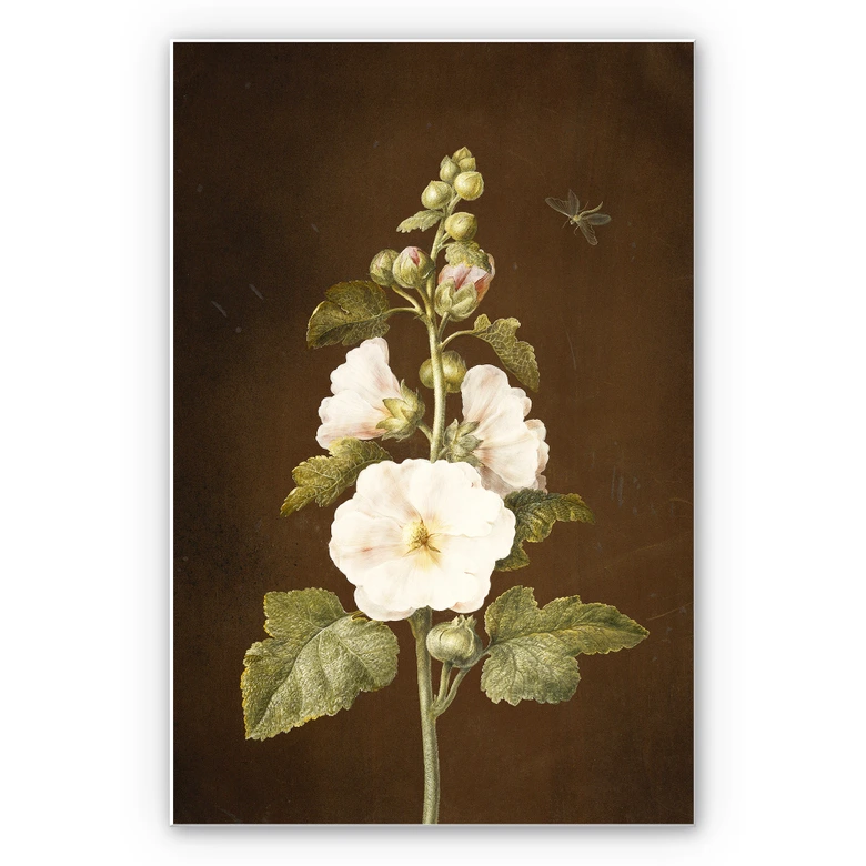 Wandbild Dietzsch - Stockrose 