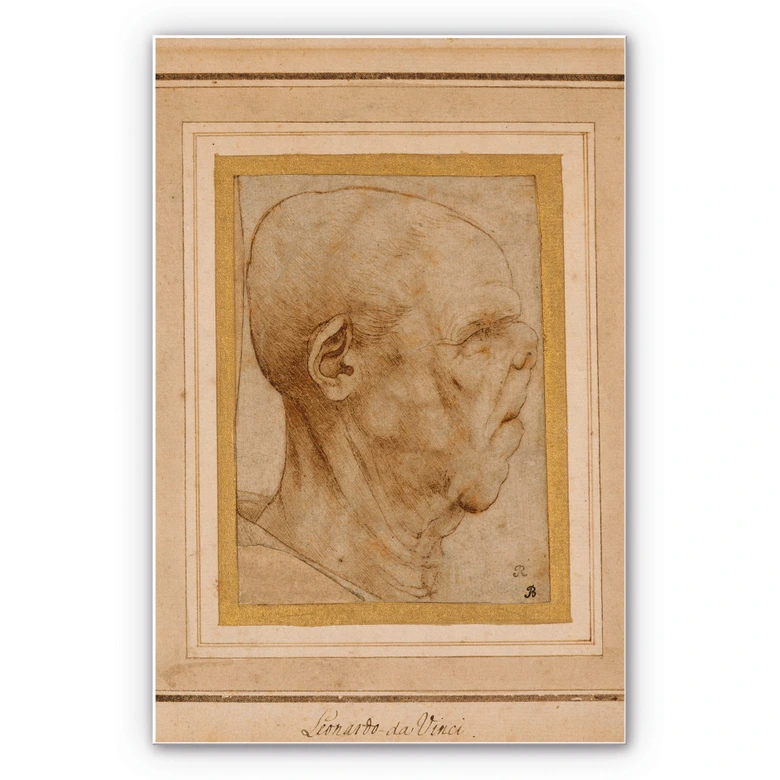 Wandbild Da Vinci - Karrikatur eines Männerkopfes 