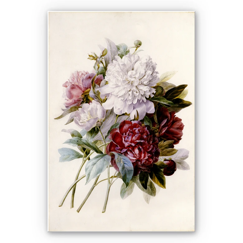Wandbild Redouté - Strauss von roten, lila und weißen Pfingstrosen 