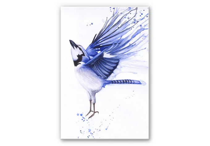 Wandbild Müller - Blaumeise 