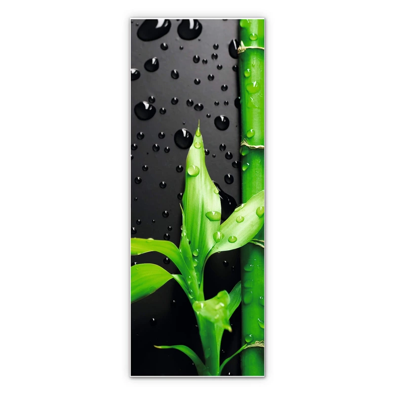 Wandbild Bamboo Over Black - Panorama 