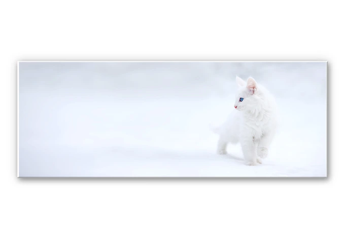 Wandbild Prexus - Weißer als Schnee 