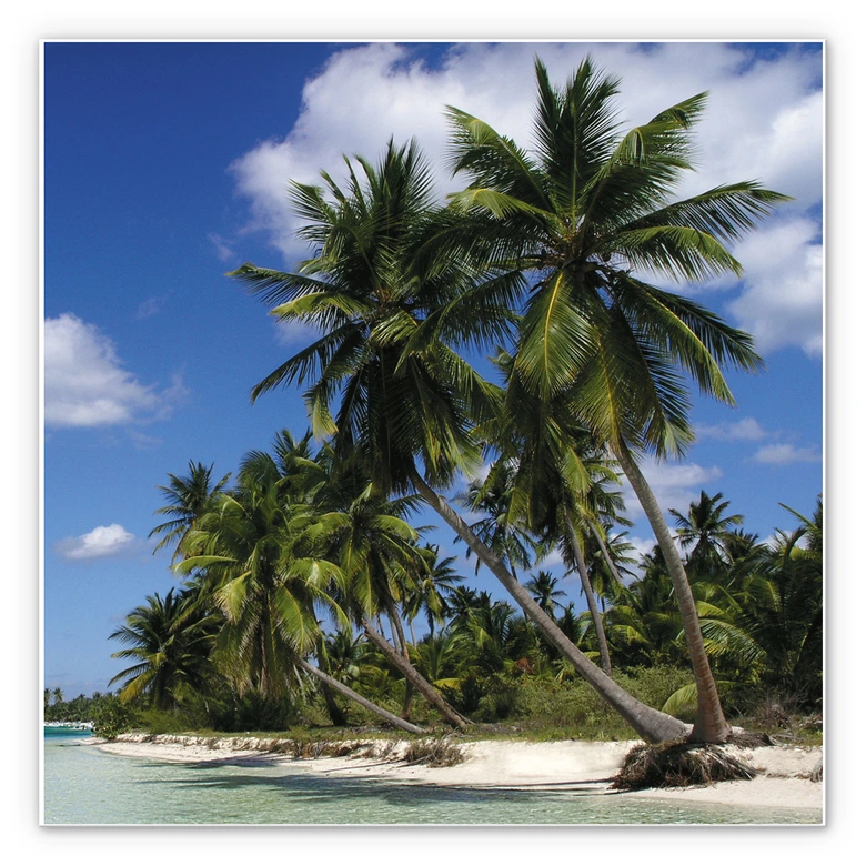 Wandbild Carribean Flair - quadratisch 