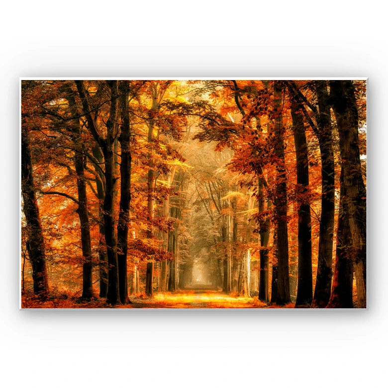 Wandbild van de Goor - Herbstallee 