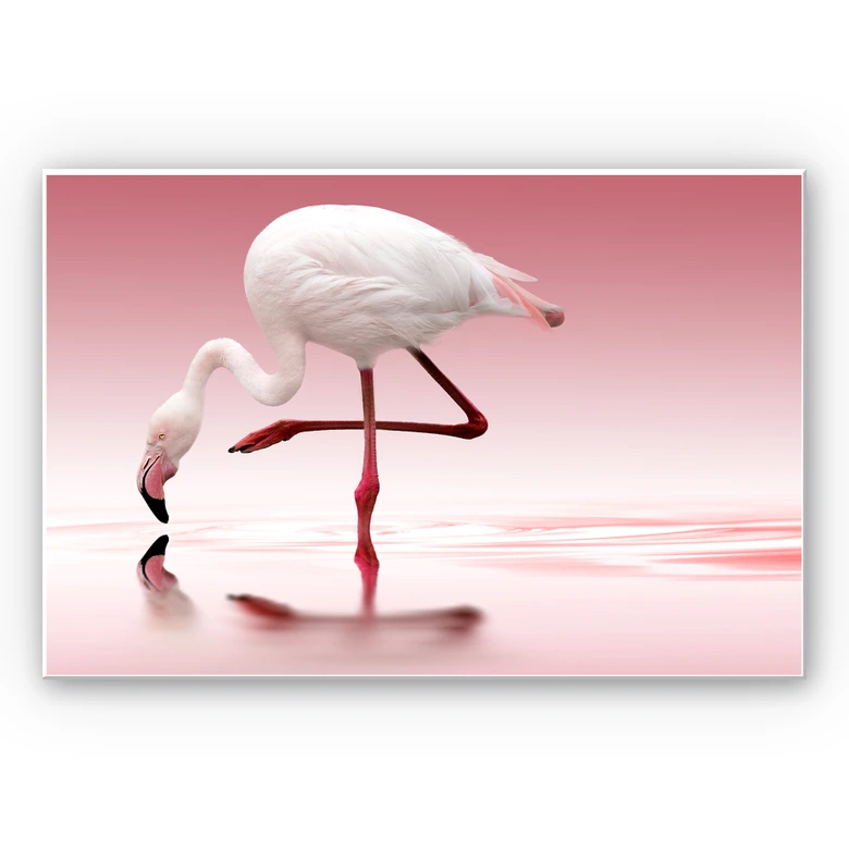 Wandbild Reindl - Pink Flamingo 