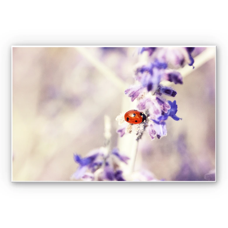 Wandbild Little Friend 