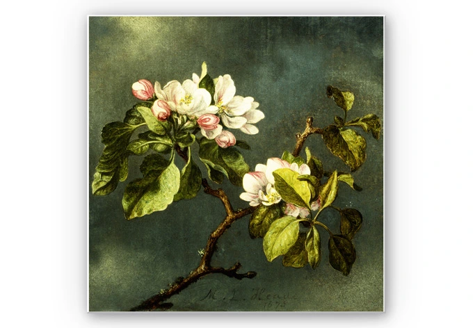 Wandbild Heade - Apfelblüten 