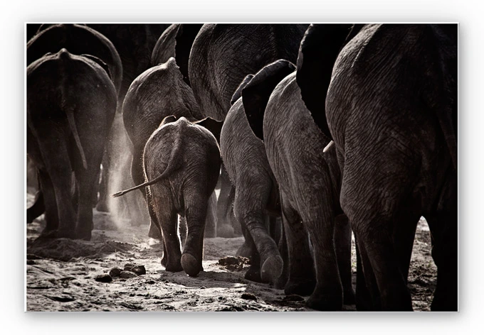 Wandbild McRae - Walking Home 