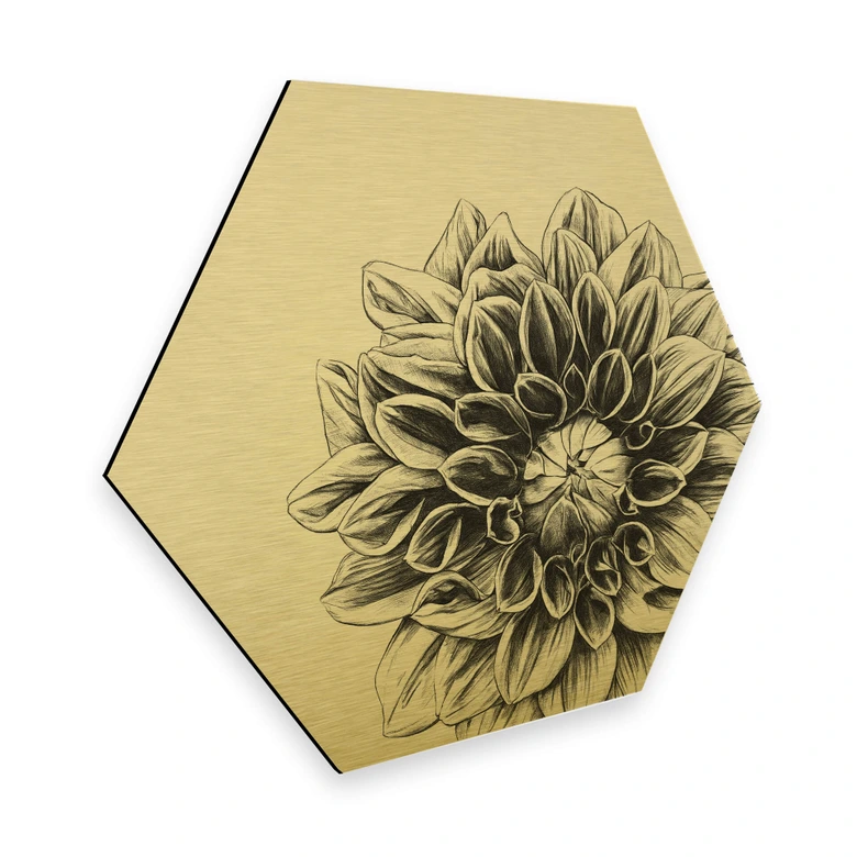Hexagon - Alu-Dibond Goldeffekt Kools - Dahlia 