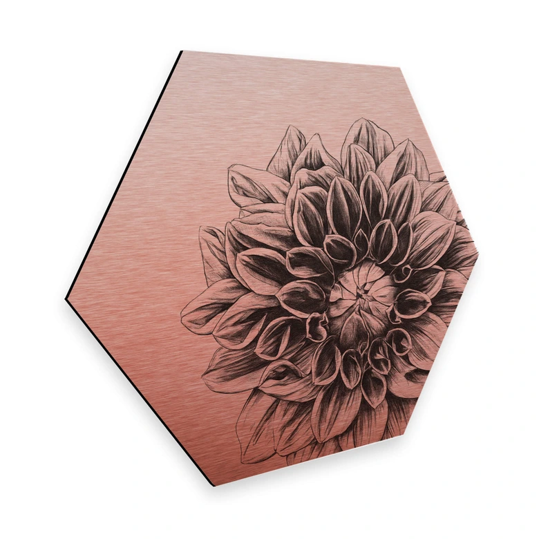 Hexagon - Alu-Dibond Kupfereffekt Kools - Dahlia 