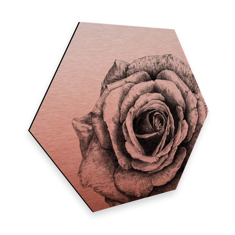 Hexagon - Alu-Dibond Kupfereffekt Kools - Rose 