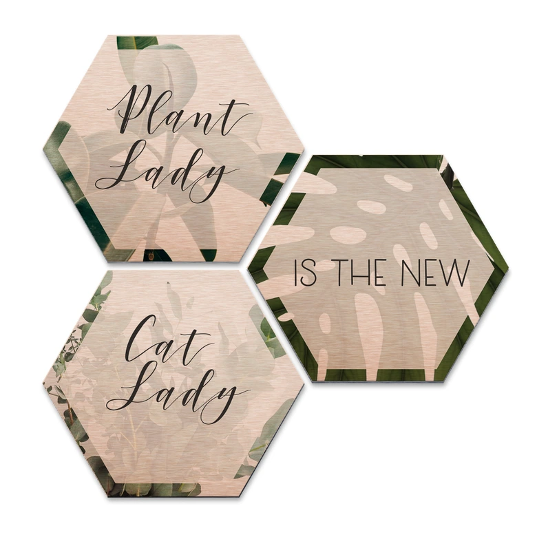 Hexagon - Alu-Dibond-Kupfereffekt - Plantlady is the new Catlady (3er Set) 