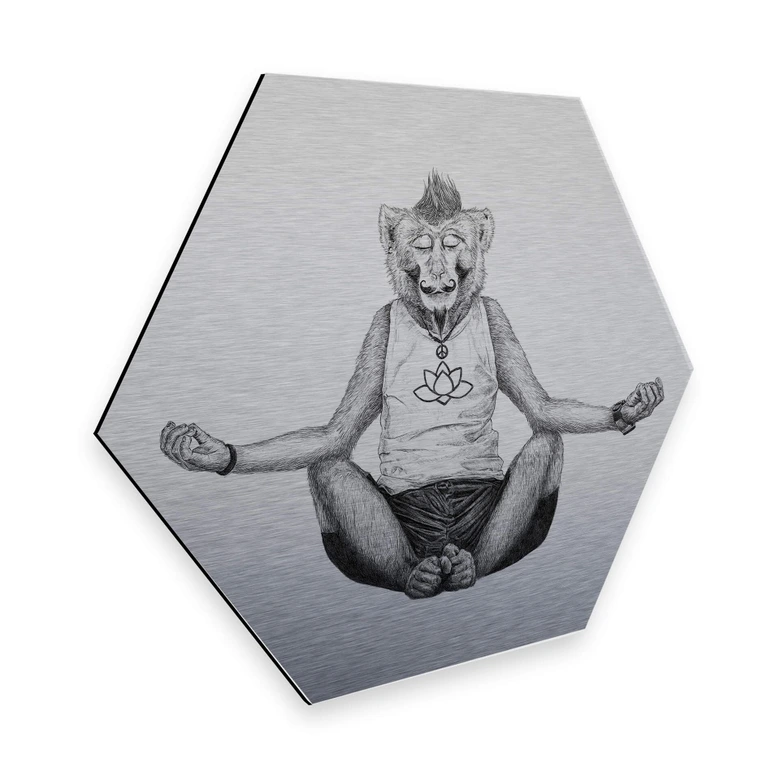 Hexagon - Alu-Dibond Silbereffekt Kools - Monkey Yoga 